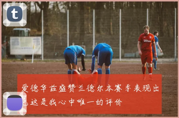 爱德华兹盛赞兰德尔本赛季表现出色这是我心中唯一的评价